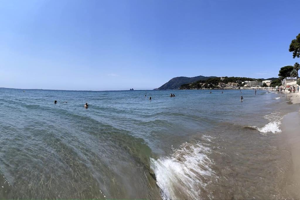 La Perle De Toulon Daire Dış mekan fotoğraf