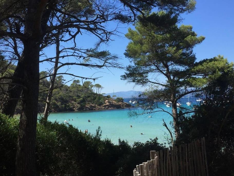 La Perle De Toulon Daire Dış mekan fotoğraf