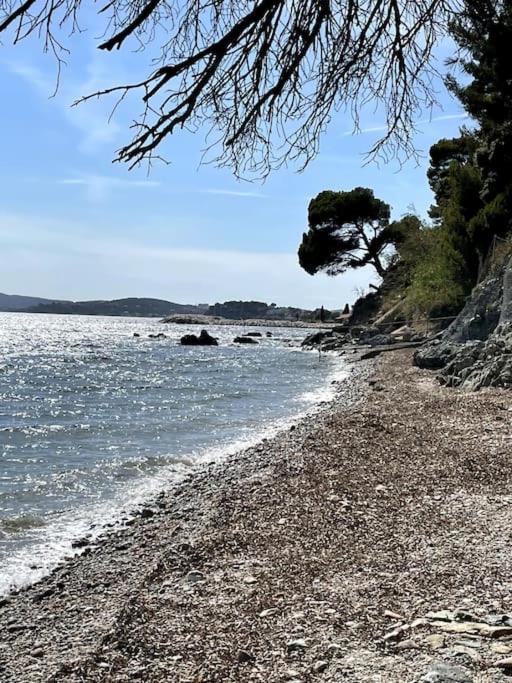 La Perle De Toulon Daire Dış mekan fotoğraf