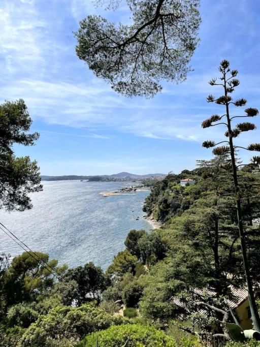La Perle De Toulon Daire Dış mekan fotoğraf